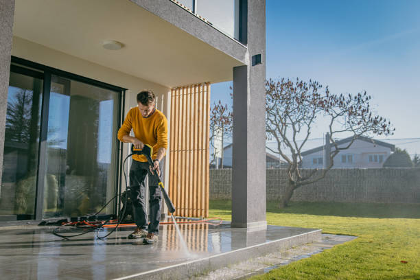 Best Roof Cleaning and Mildew Removal in Elk Mound, WI