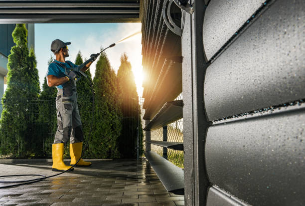 Best Soft Washing for Delicate Surfaces in Elk Mound, WI