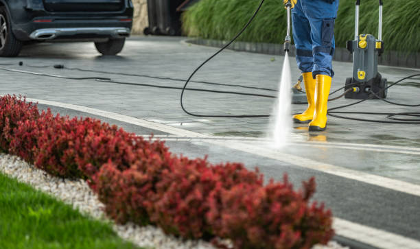 Best Fence Cleaning and Maintenance in Elk Mound, WI